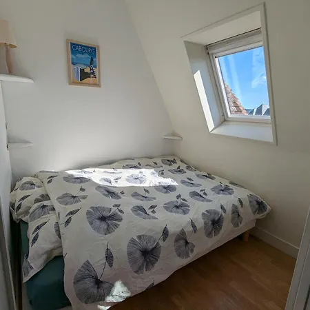 Vue Sur Et Acces Direct A La Apartment Cabourg